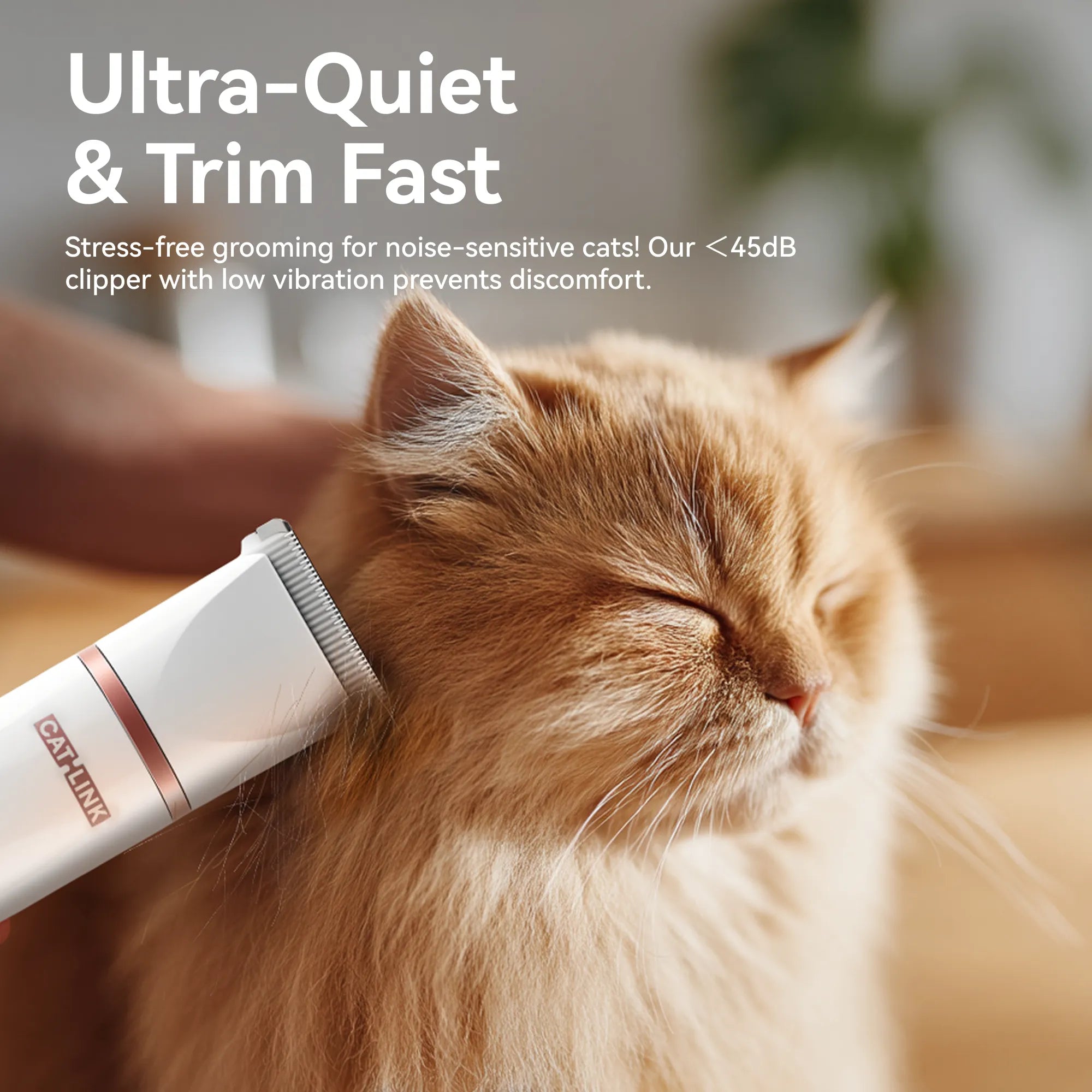 catlink-pet-tondeuse-toilettage-chat-chien-c-ramique-45-db image 2
