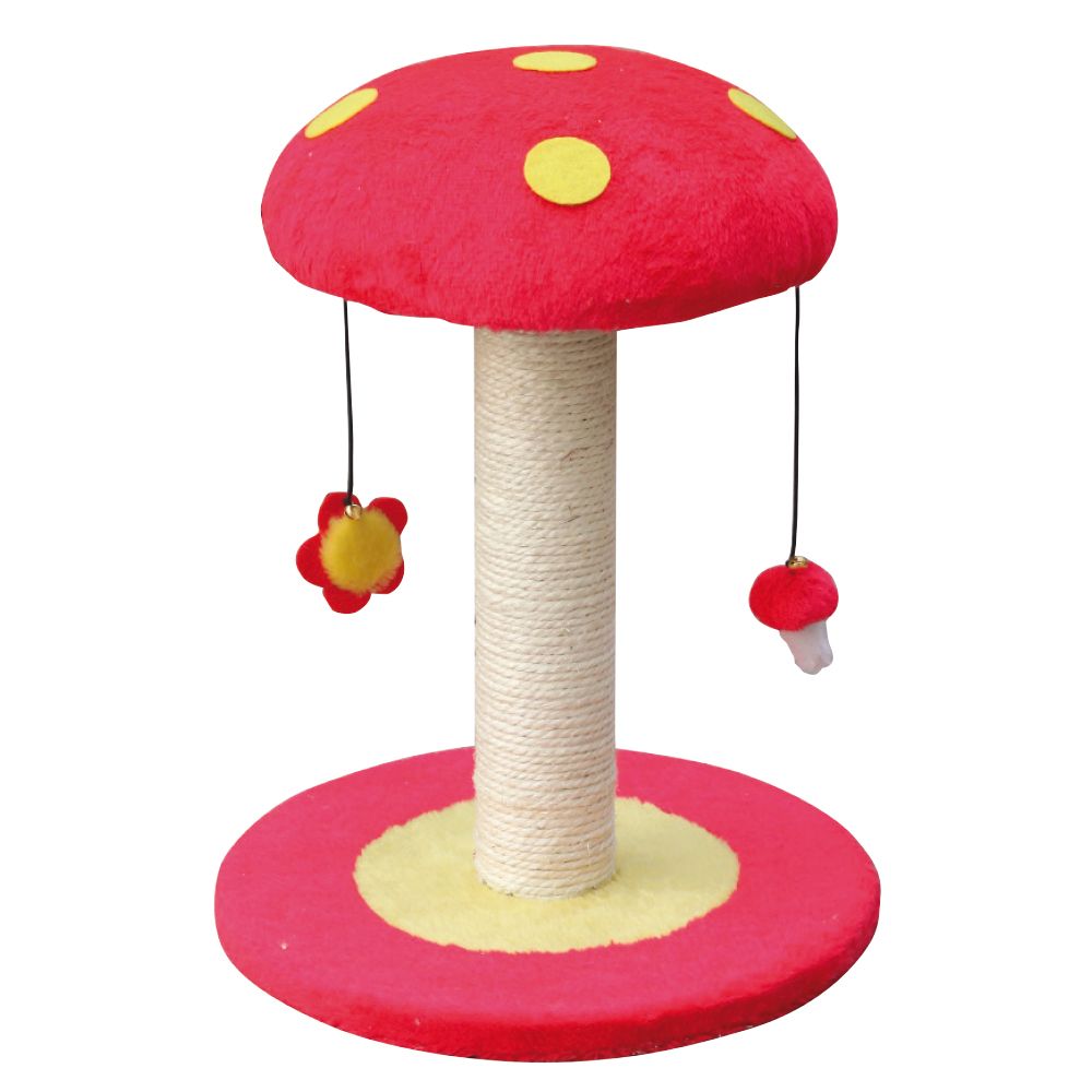 croci-mushroom-griffoir-chat-champignon-couleur-assortie image 5