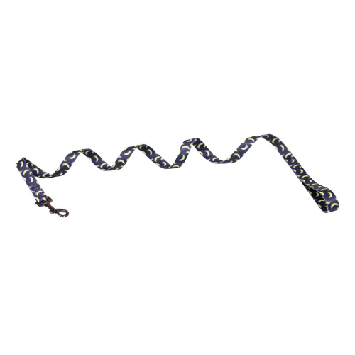 croci-banana-laisse-chien-nylon-120-cm-motif image 1