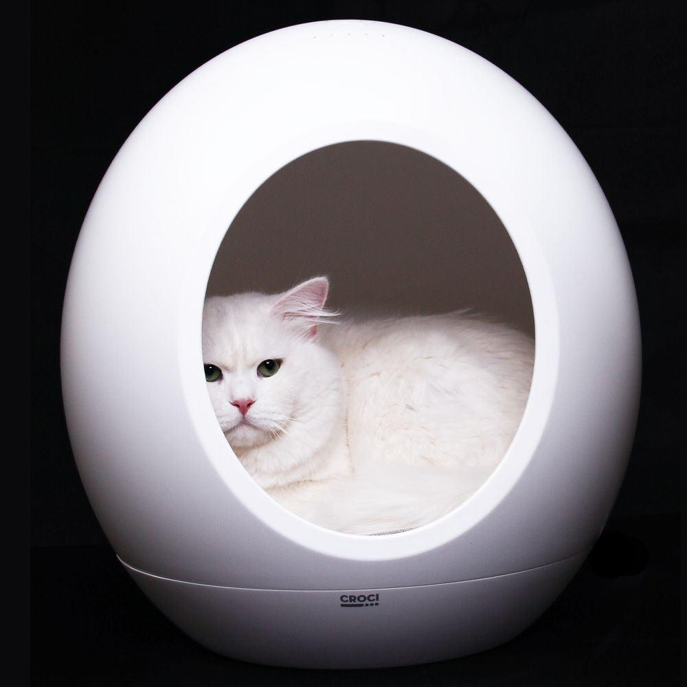 croci-domus-niche-technologique-chat-et-petit-chien image 4