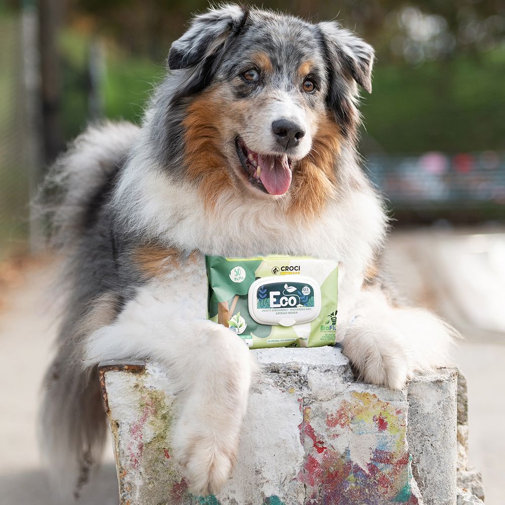 croci-pet-wipes-lingettes-chien-chat-vanille-30-pcs image 6