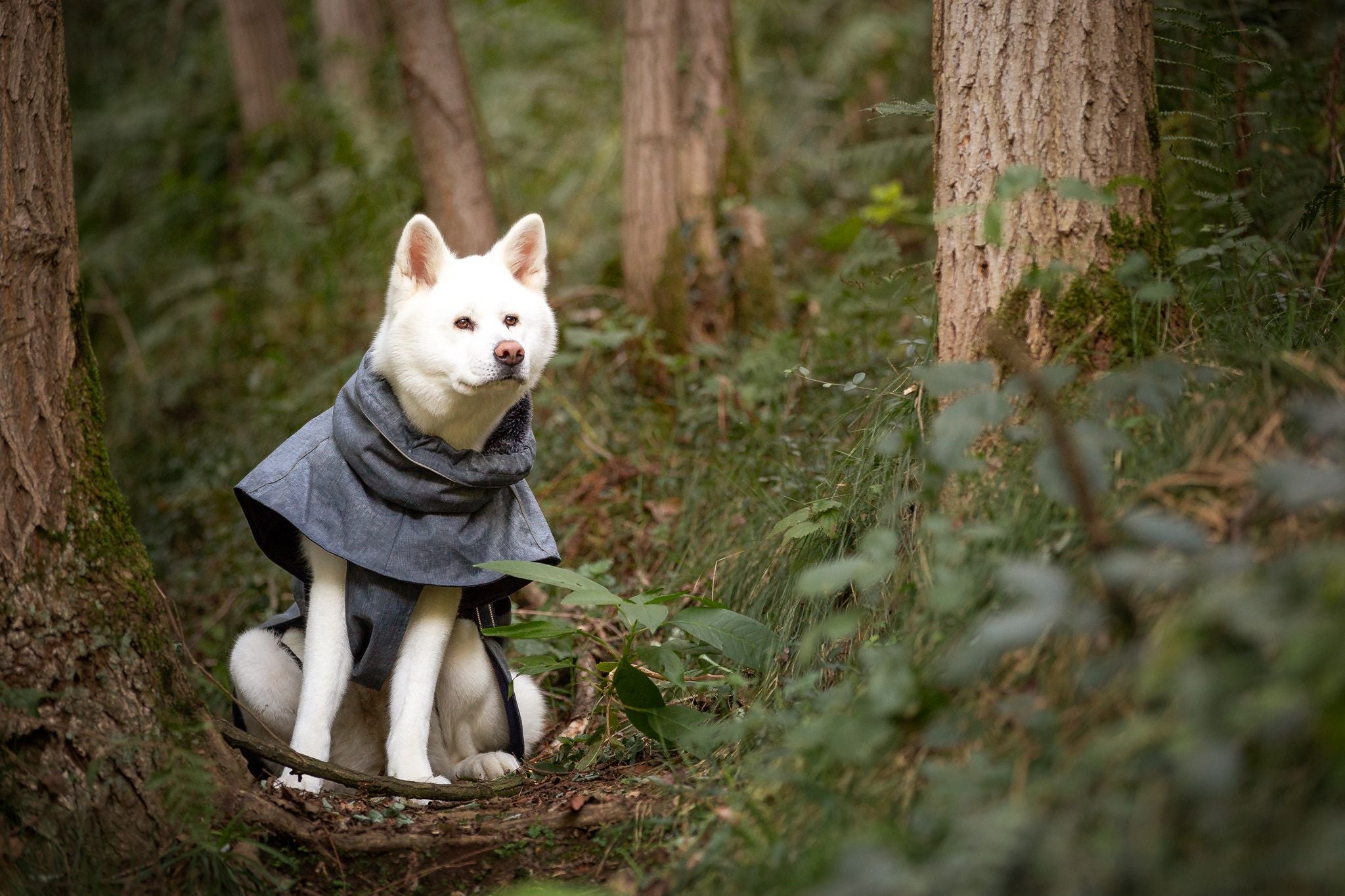 croci-hiking-everest-manteau-chien-chaud-polaire image 8