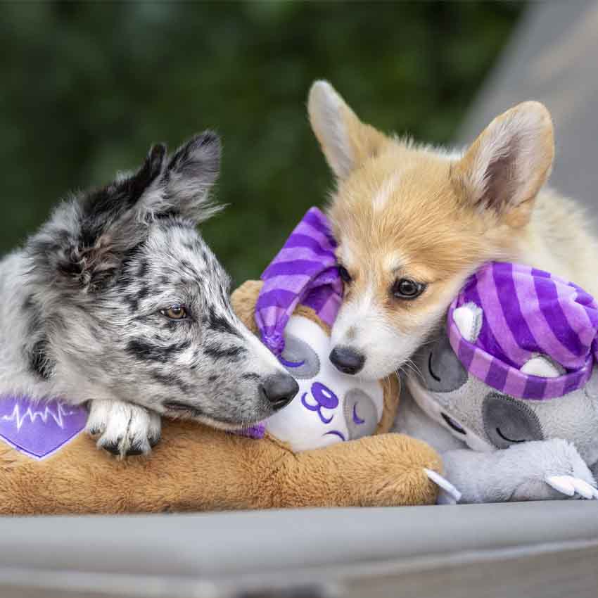 croci-heart-beat-peluche-chien-anxi-t-paresseux-raton image 2