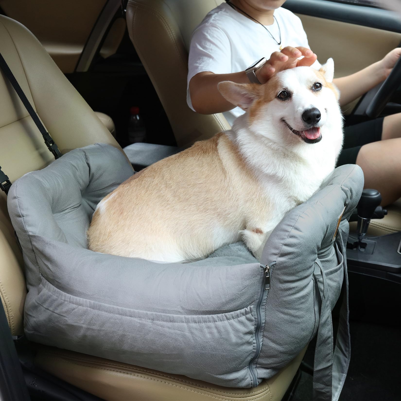bingopaw-si-ge-auto-chien-panier-transport-64x43x28cm image 3