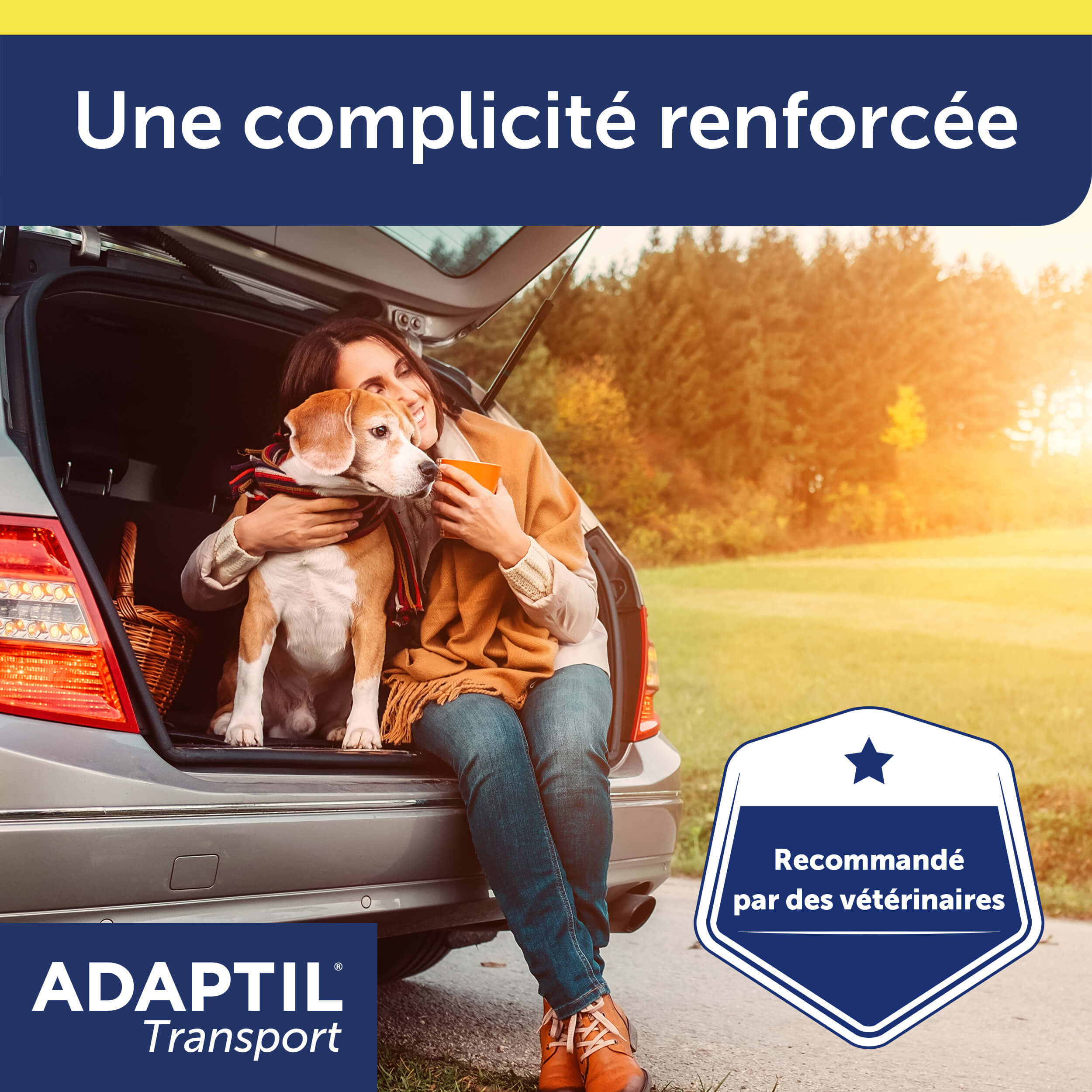 adaptil-transport-spray-apaisant-chien-voiture-20ml image 7