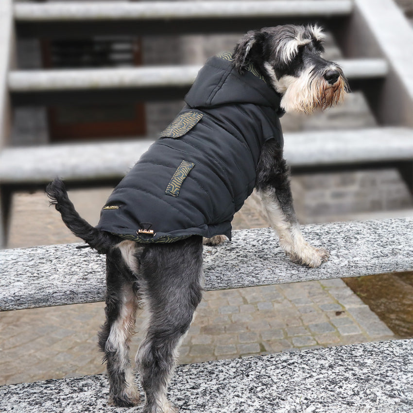 croci-black-manteau-chien-noir-r-versible-40-cm-imperm-able image 2