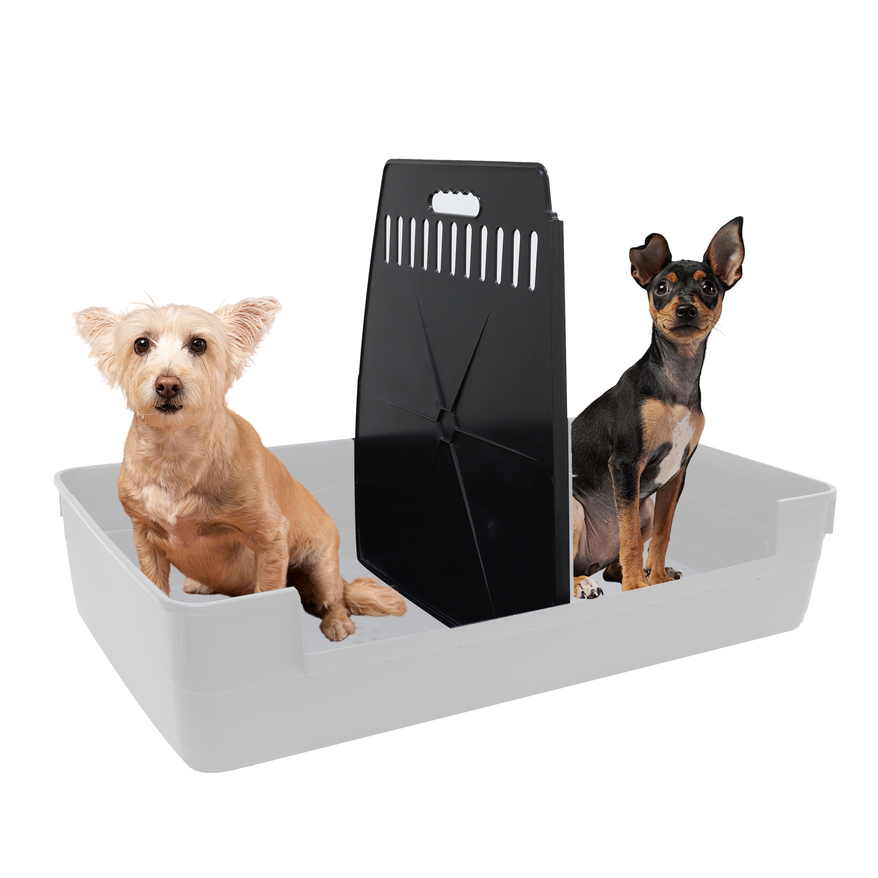 croci-car-box-s-parateur-caisse-transport-double-entr-e-plastique image 3