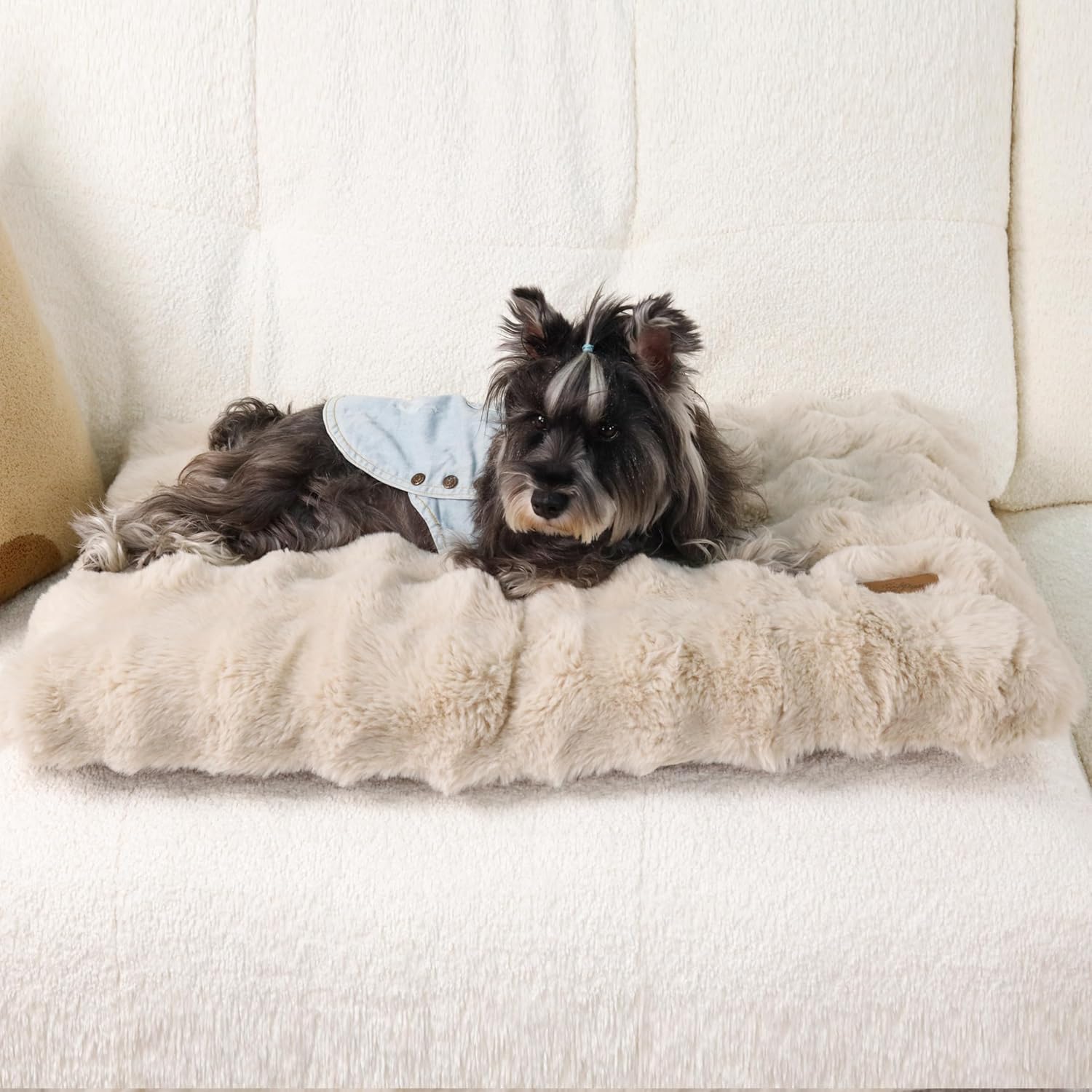 bingopaw-dog-bed-panier-chien-l-76x51x10-cm-beige-d-houssable image 8