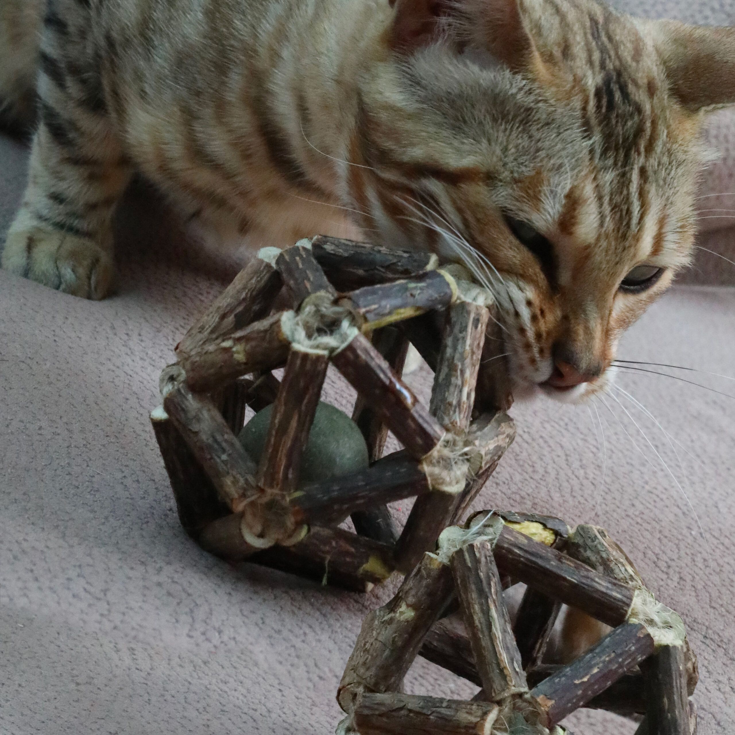 croci-euphoria-balle-jouet-chat-herbe-chat-exercice image 4
