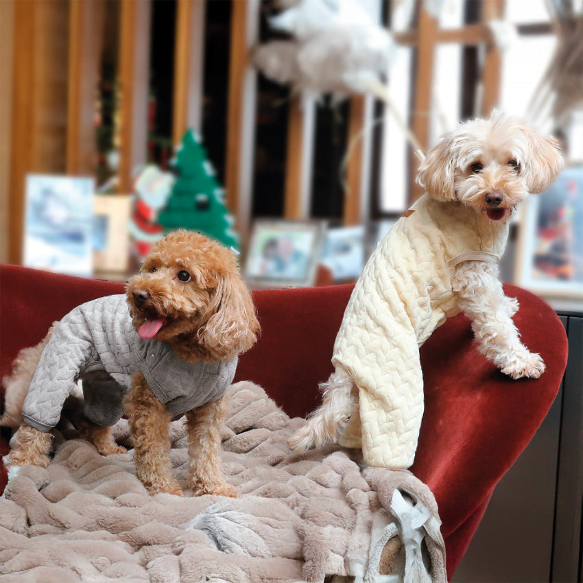 croci-pyjama-chien-polyester-jaune-25-cm-chaud image 4