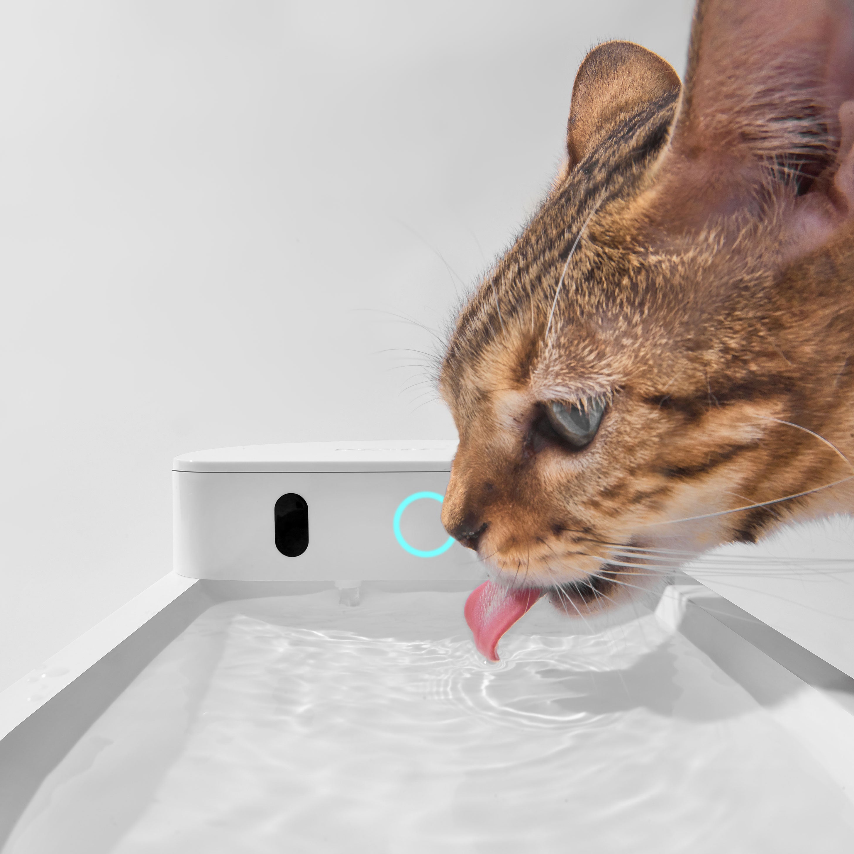 catlink-water-fountain-fontaine-eau-chat-sans-fil-lot-2-2-3-l image 5
