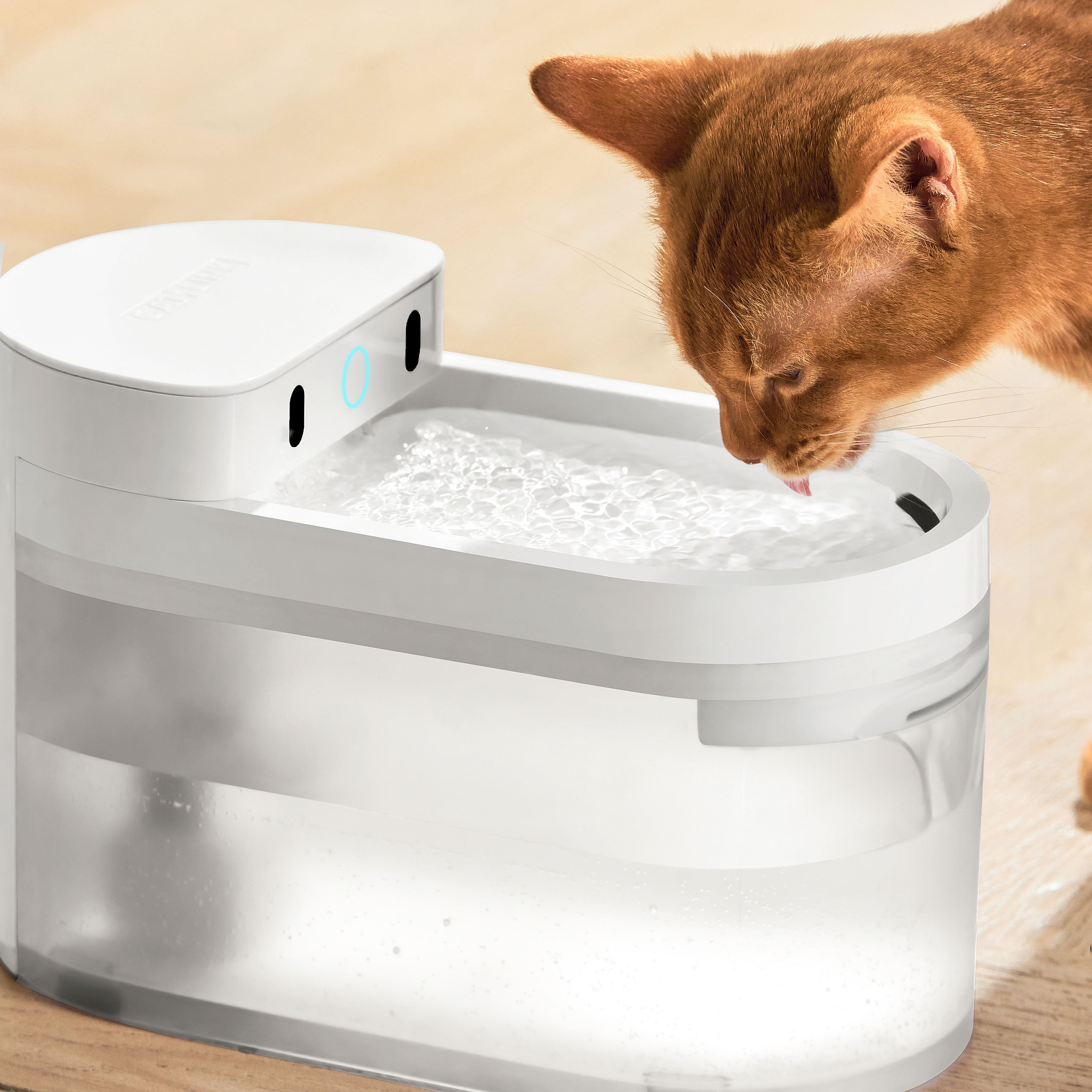 catlink-water-fountain-fontaine-eau-chat-sans-fil-lot-2-2-3-l image 4