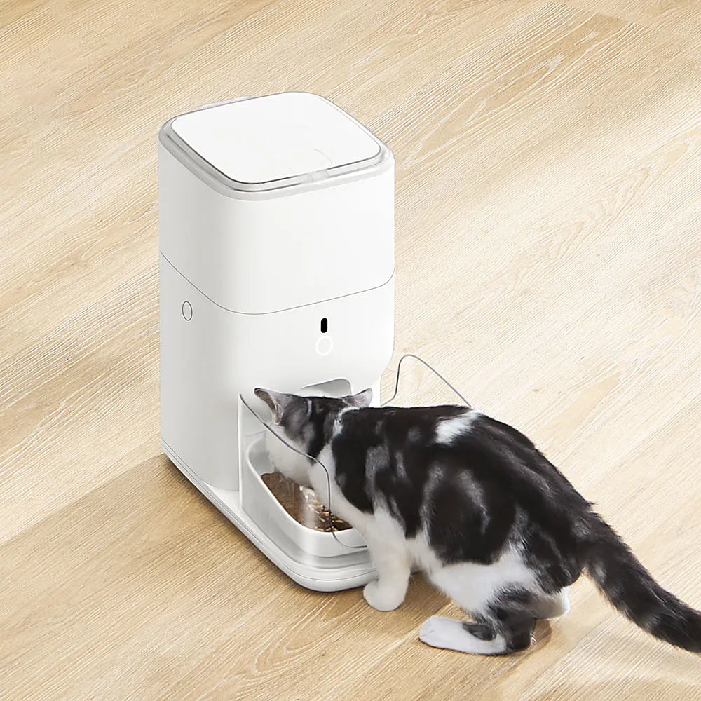 catlink-fresh-2-luxury-fontaine-sans-fil-set-chat-4-l image 4