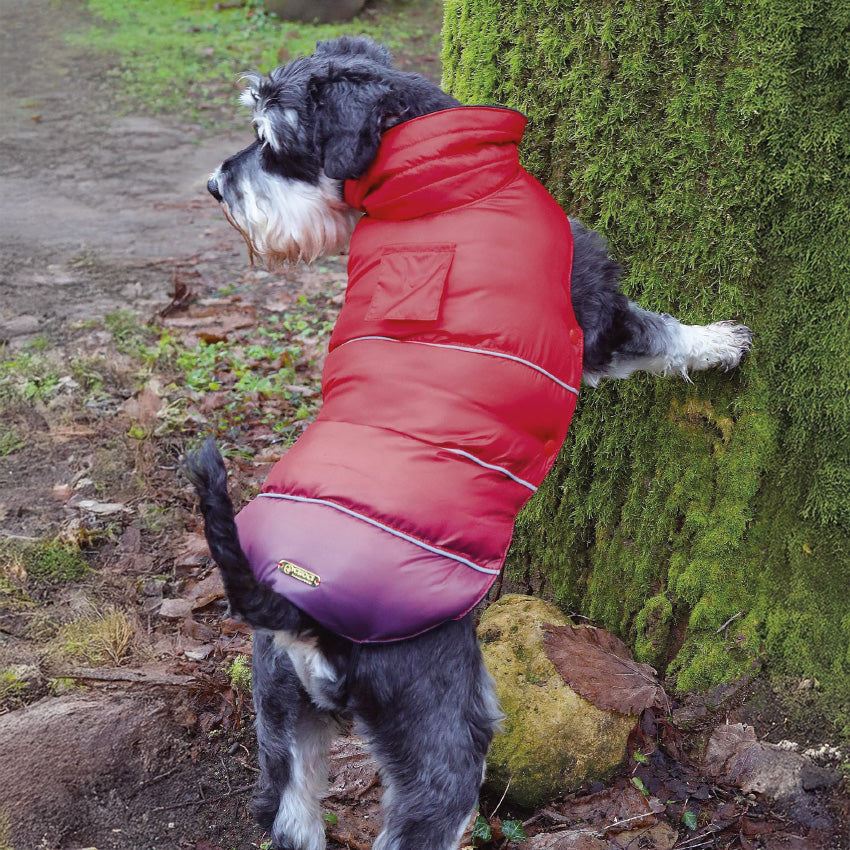 croci-sunset-manteau-imperm-able-chien-matelass-40-cm image 2