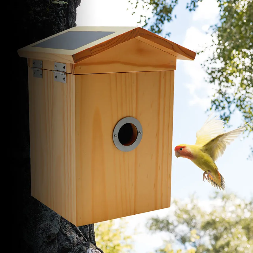 croci-smart-nichoir-oiseaux-wifi-cam-ra-hd-bois-20x20x33 image 1