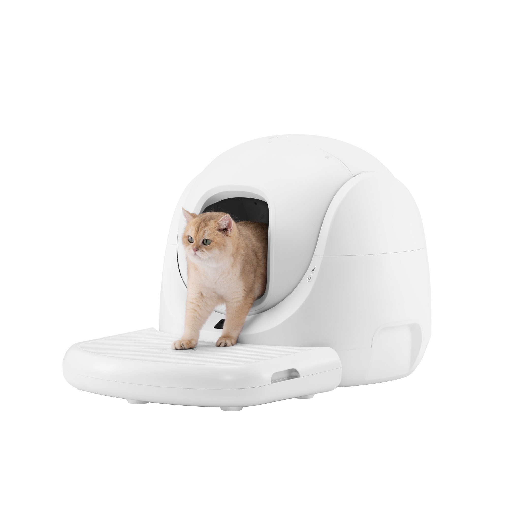catlink-rampe-scooper-se-se-lite-blanche-acc-s-liti-re-chat image 4