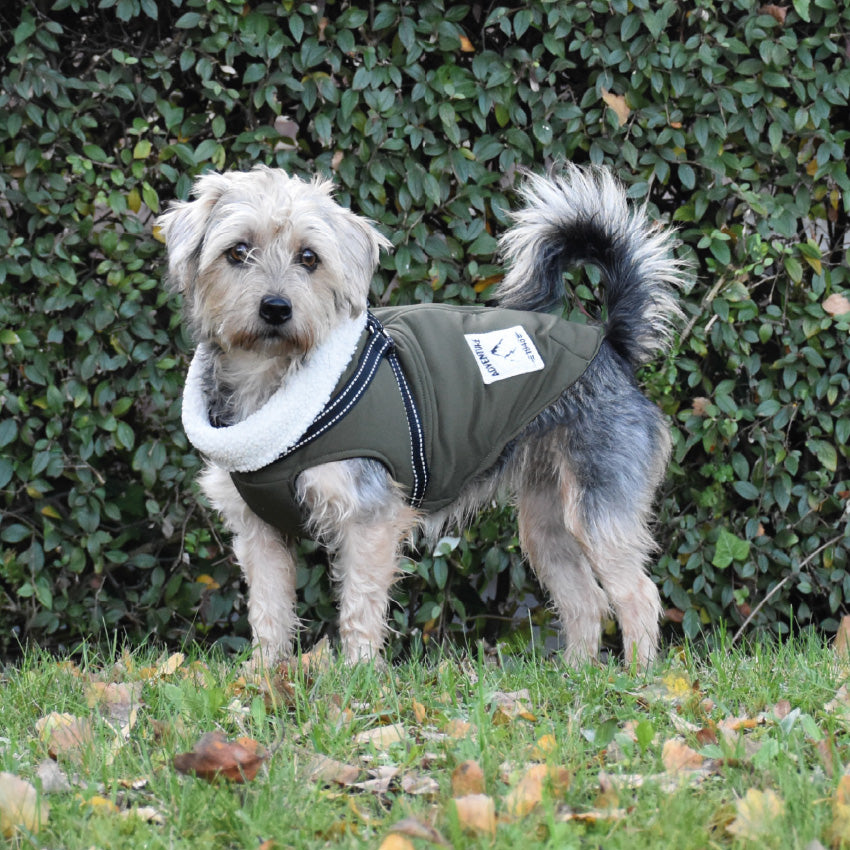 croci-manteau-city-manteau-chien-hiver-m-40-cm image 2