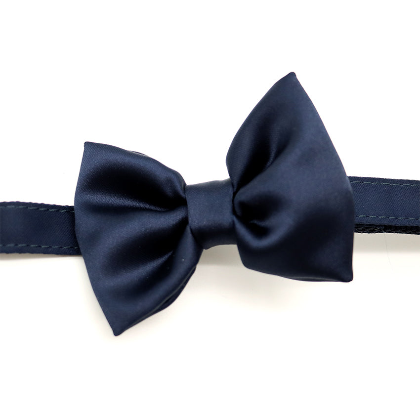 croci-ceremony-collier-chien-bleu-28-44-cm-n-ud image 3