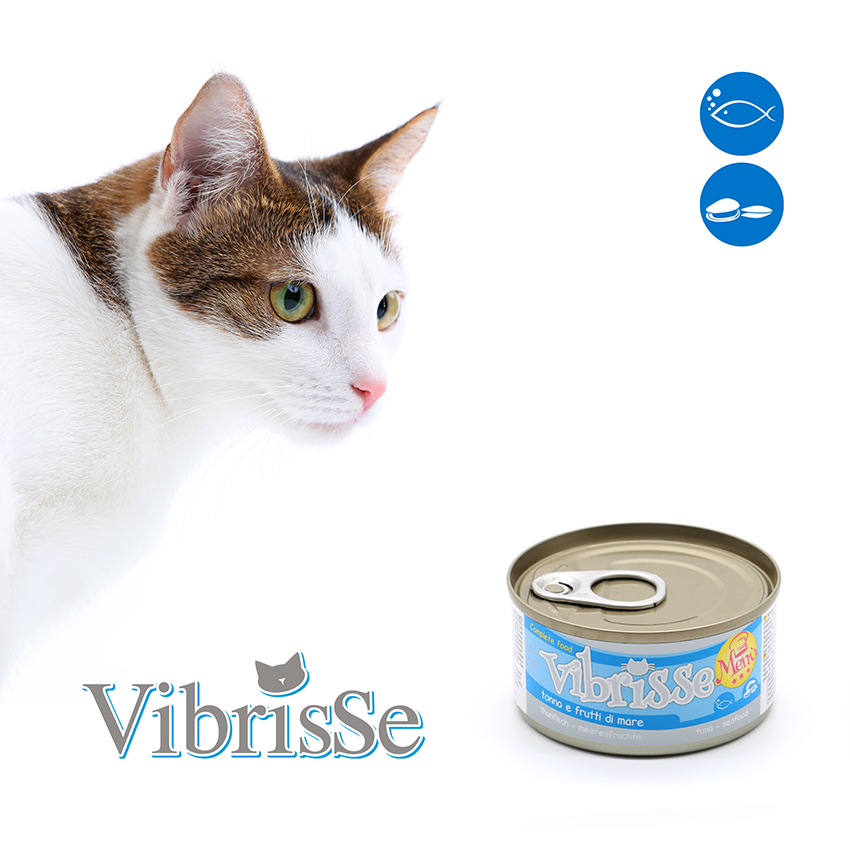 croci-vibrisse-menu-p-t-e-chat-poulet-goji-70g image 3