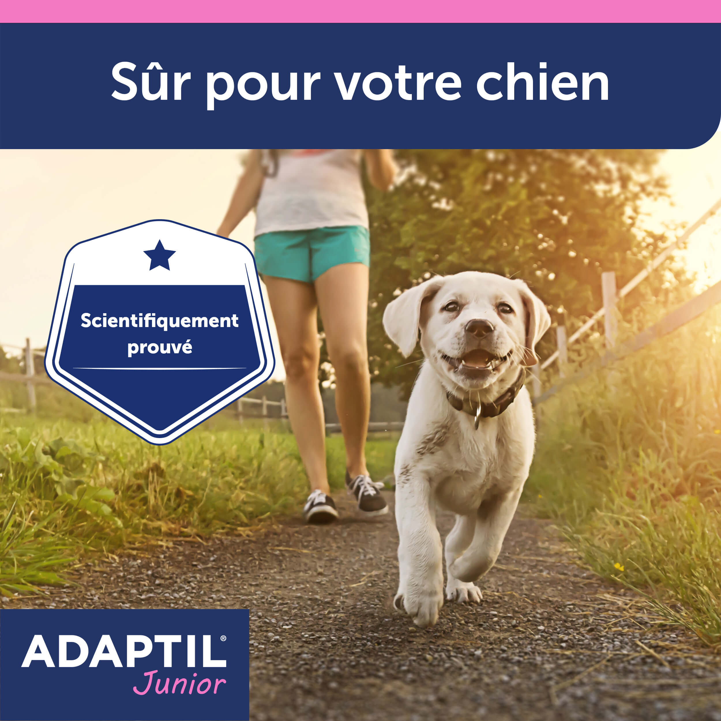 adaptil-junior-collier-apaisant-chiot-ajustable-30-jours image 6