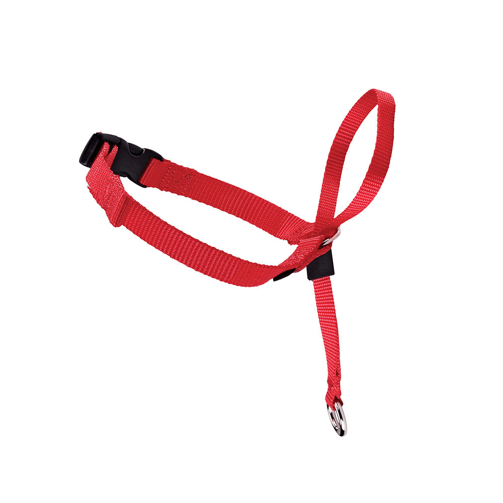 croci-easy-walk-licol-chien-anti-traction-noir-sm-nylon image 2
