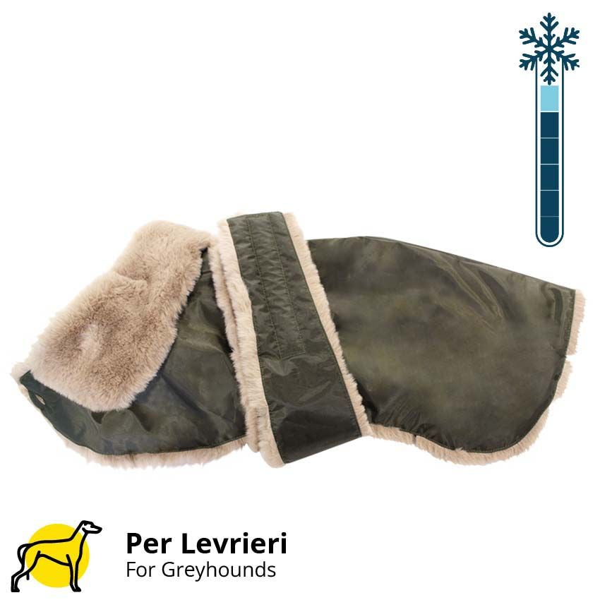 croci-greyhound-manteau-l-vrier-gris-60-cm-hiver image 3