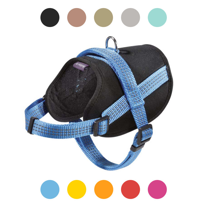 croci-bobby-easy-safe-harnais-chien-noir-m-r-fl-chissant image 1