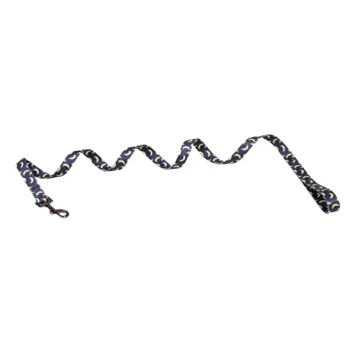 croci-banana-laisse-chien-nylon-120-cm-motif image 1