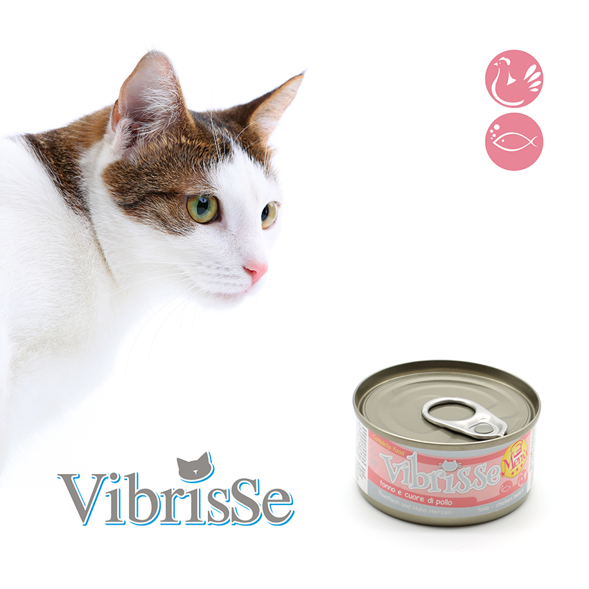 croci-vibrisse-menu-p-t-e-chat-poulet-goji-70g image 4