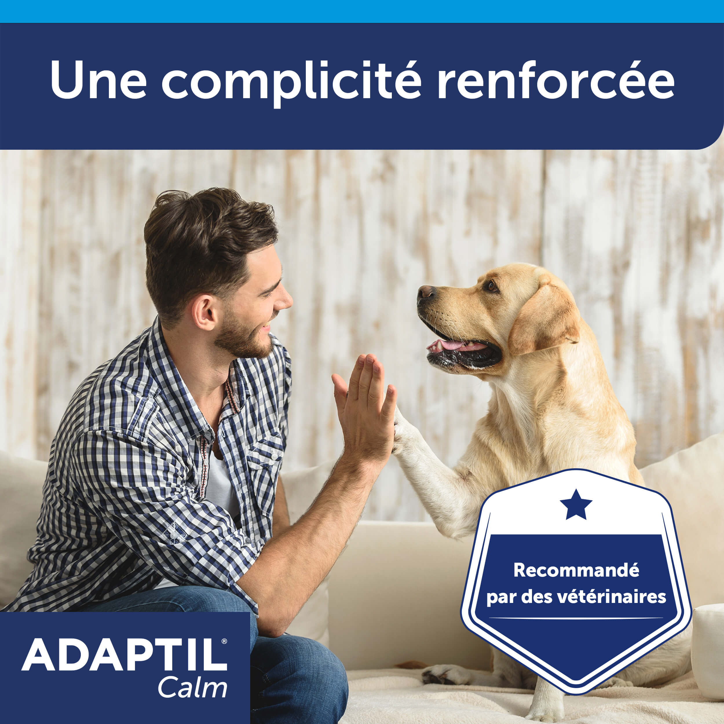 adaptil-calm-kit-complet-diffuseur-chien-anti-stress image 8