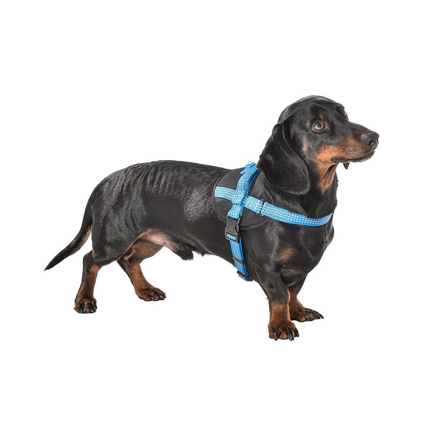 croci-bobby-easy-safe-harnais-chien-noir-m-r-fl-chissant image 2
