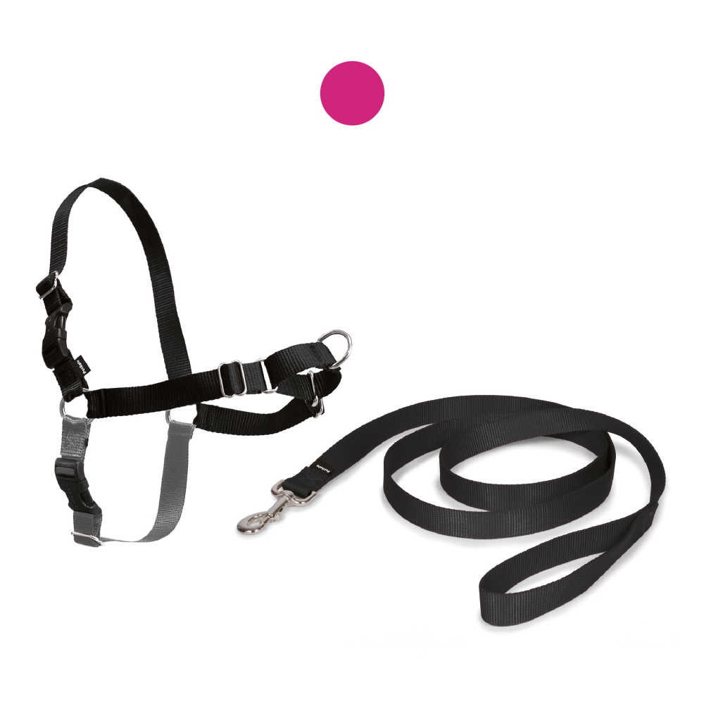 croci-easy-walk-harnais-chien-nylon-anti-traction-noir-m image 4
