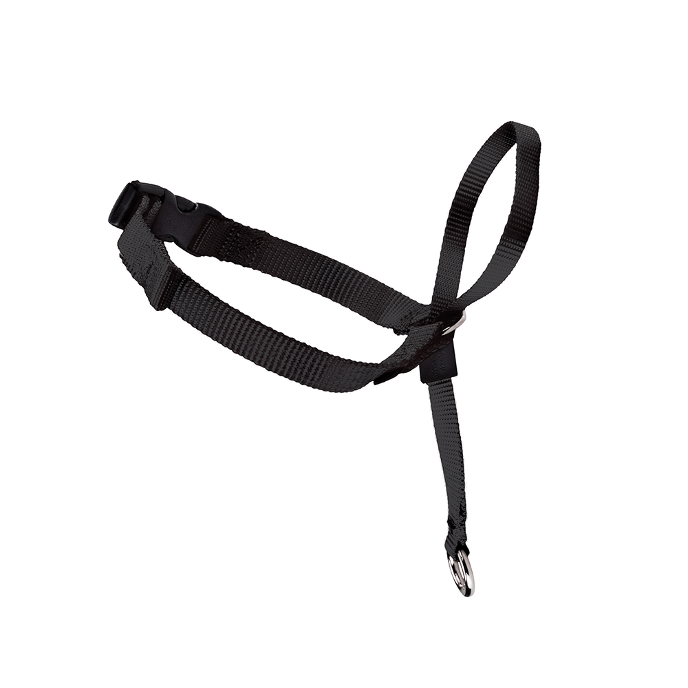 croci-easy-walk-licol-chien-anti-traction-noir-sm-nylon image 3