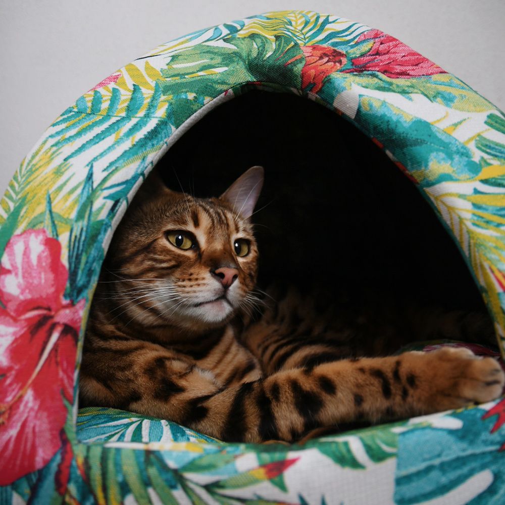 croci-amazonia-pyramide-chat-mousse-coussin image 2