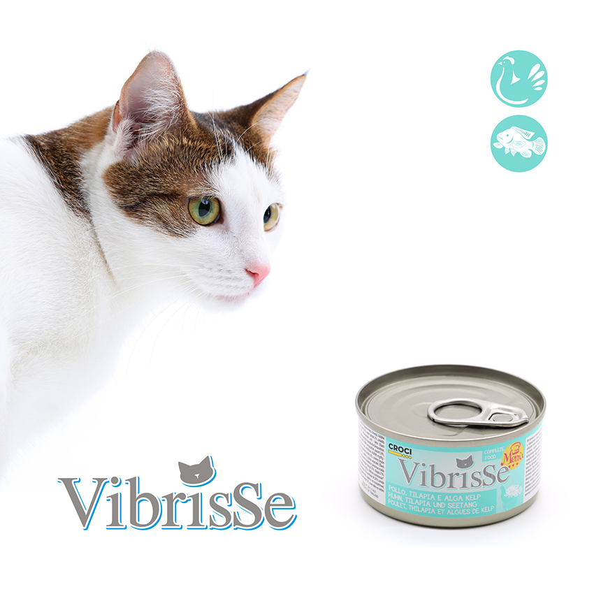 croci-vibrisse-menu-p-t-e-chat-poulet-goji-70g image 2