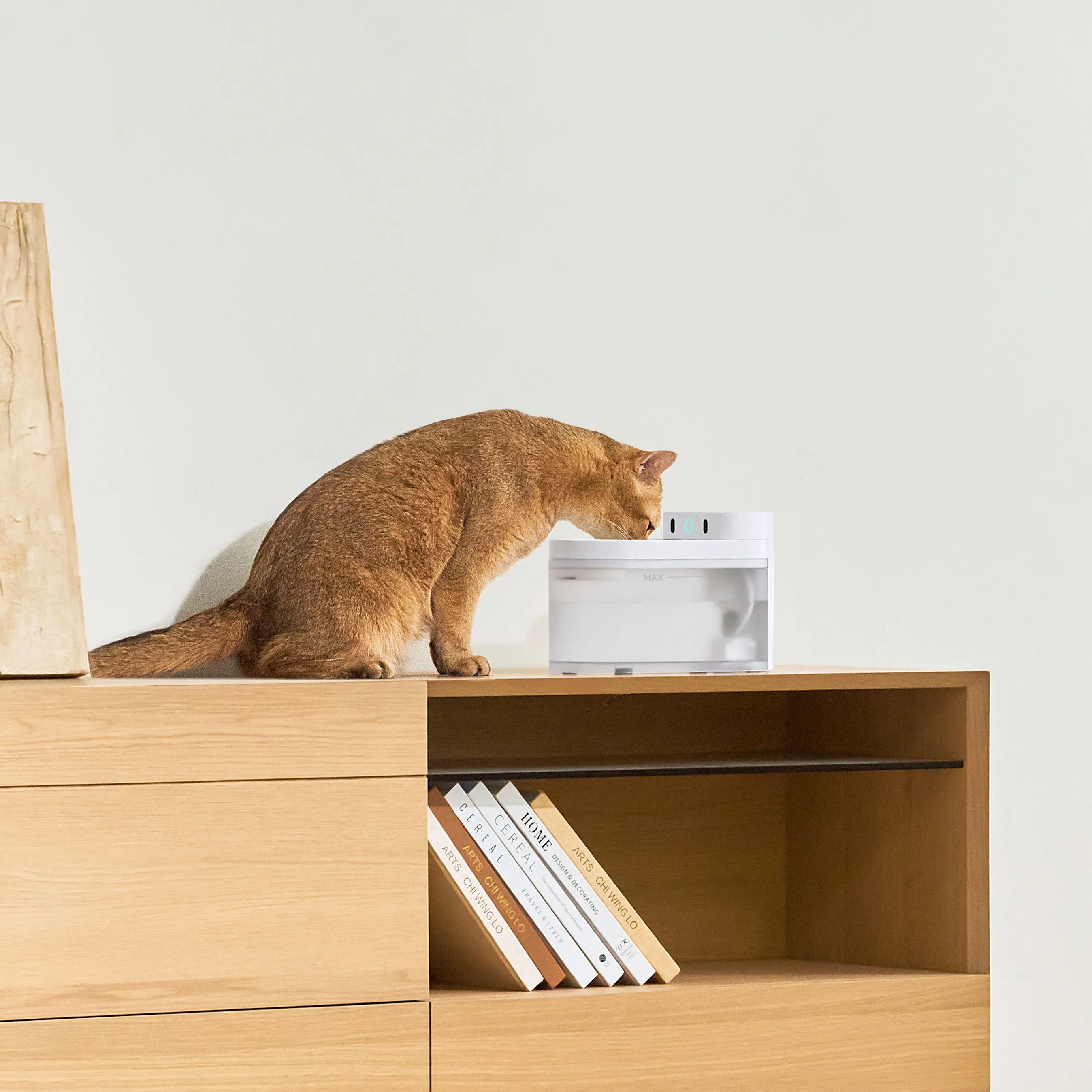 catlink-fresh-2-luxury-fontaine-sans-fil-set-chat-4-l image 8