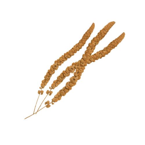 croci-pis-de-millet-friandise-oiseaux-granivores image 2