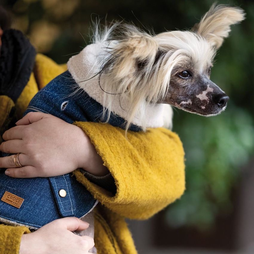 croci-boho-manteau-chien-jean-25-cm-fille-hiver image 6