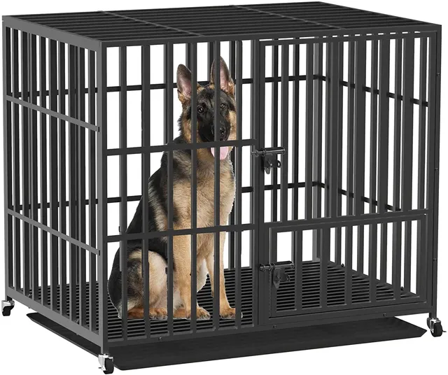 bingopaw-dog-crate-cage-chien-xxl-117cm-m-tal-roulettes image 1