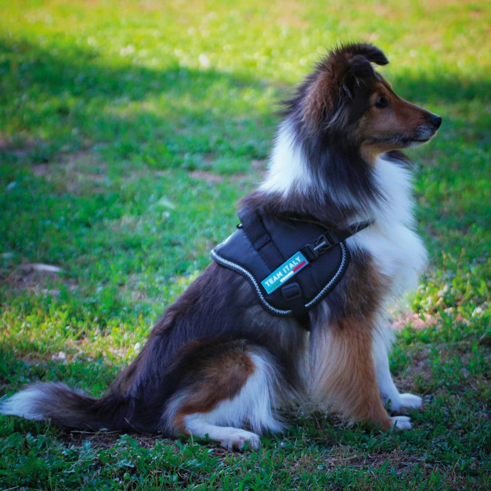 croci-hiking-basic-harnais-chien-nylon-50-68-cm-r-fl-chissant image 3