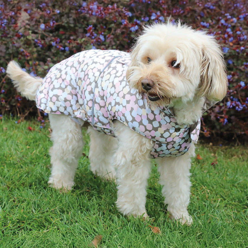 croci-marshmallow-manteau-chien-imperm-able-30-cm image 2