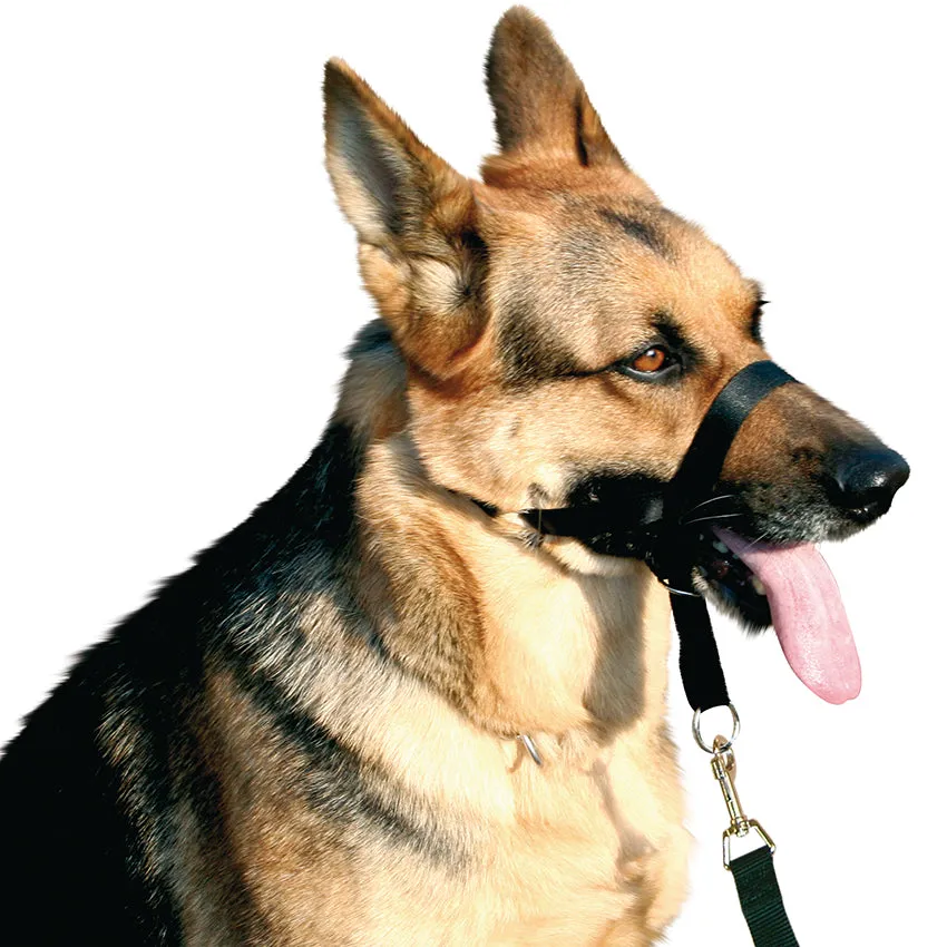 croci-museli-re-chien-nylon-dressage-taille-3 image 1