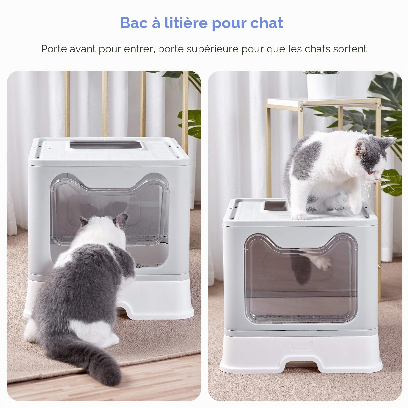 bingopaw-liti-re-chat-xxl-ferm-e-51x41cm-tiroir image 4