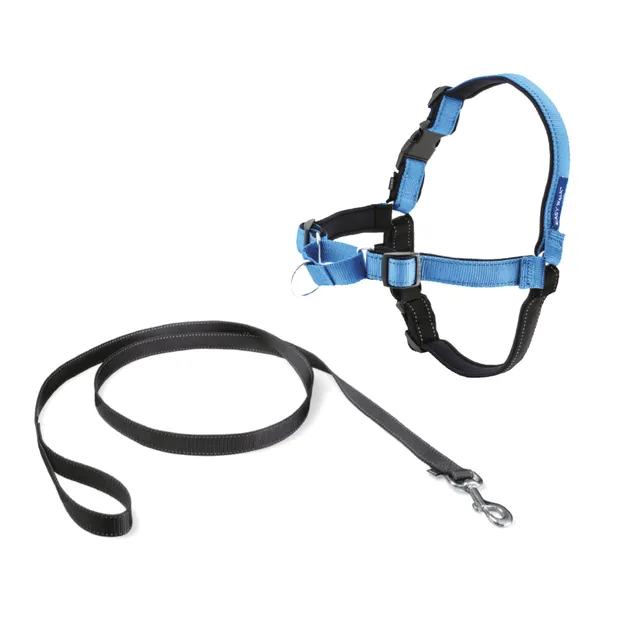 croci-easy-walk-harnais-chien-anti-traction-bleu-m image 1