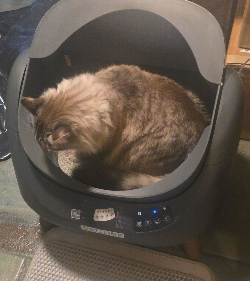Nettoyage espacé