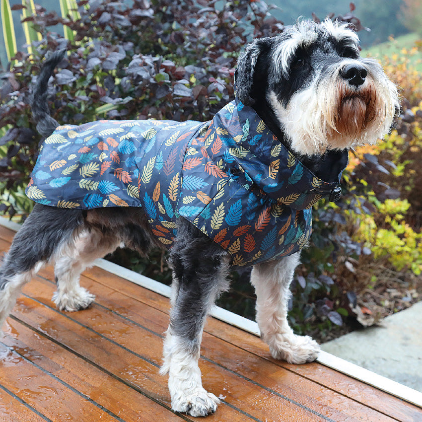 croci-leaf-veste-chien-imperm-able-40-cm-velours image 2