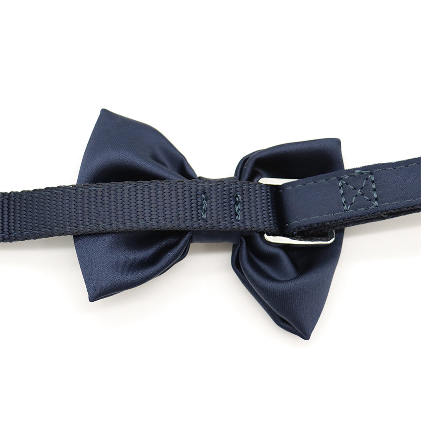 croci-ceremony-collier-chien-bleu-28-44-cm-n-ud image 4