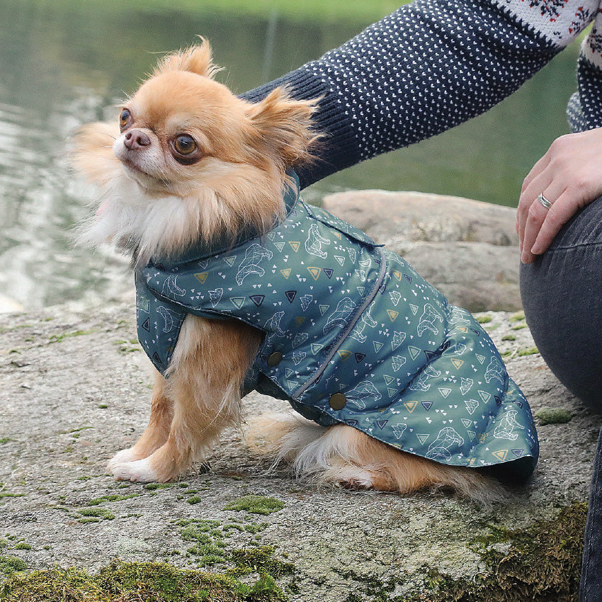croci-polar-manteau-chien-hiver-imperm-able-r-fl-chissant-35cm image 2