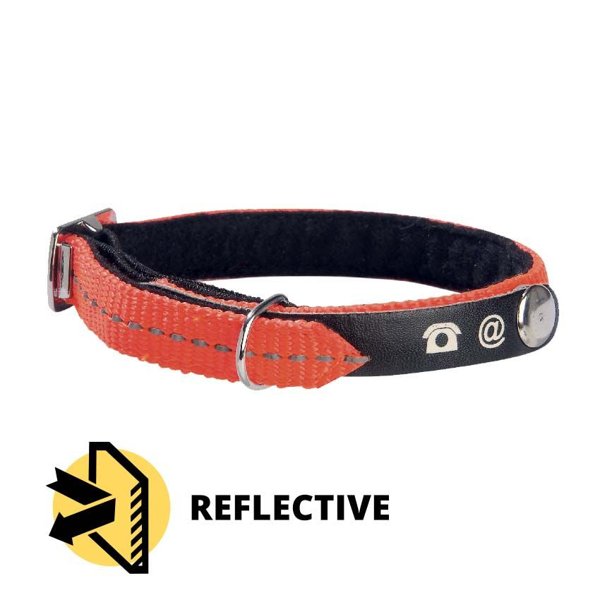 croci-bobby-lost-collier-chat-orange-r-fl-chissant image 2
