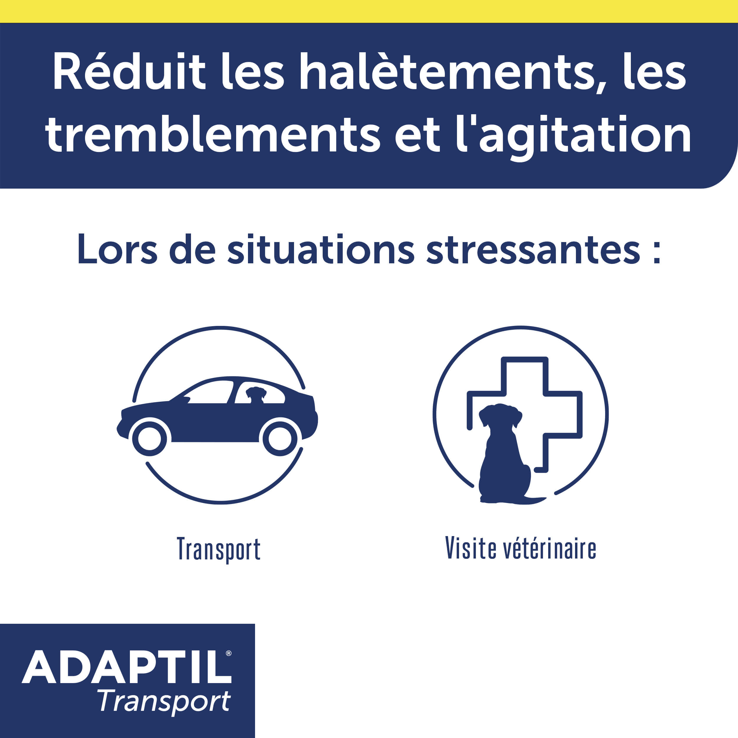 adaptil-transport-spray-apaisant-chien-voiture-20ml image 3
